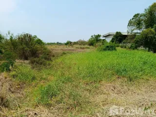 For sale land in Mueang Phitsanulok, Phitsanulok