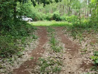 For sale land in Laem Ngop, Trat