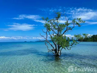For sale land in Ko Kut, Trat