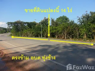 For sale land in Thung Chang, Nan
