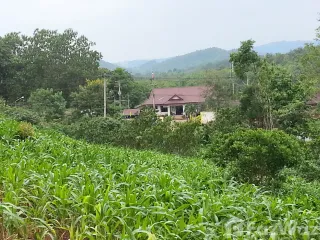 For sale land in Thung Chang, Nan