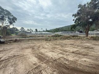 For sale land in Ko Samui, Surat Thani