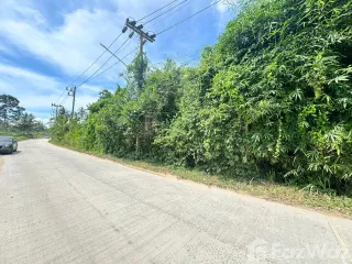 For sale land in Ko Samui, Surat Thani