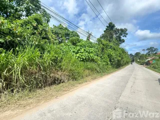 For sale land in Ko Samui, Surat Thani