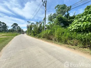 For sale land in Ko Samui, Surat Thani
