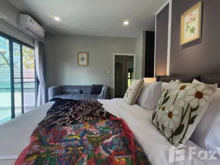 For rent 6 bed villa in San Sai, Chiang Mai