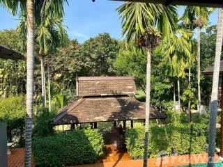 For rent 6 bed villa in San Sai, Chiang Mai