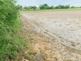 For sale land in Nong Chang, Uthai Thani