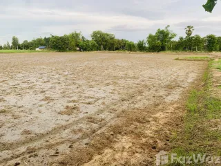 For sale land in Nong Chang, Uthai Thani
