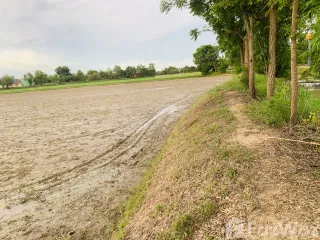 For sale land in Nong Chang, Uthai Thani