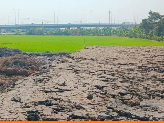 For sale land in Lat Lum Kaeo, Pathum Thani