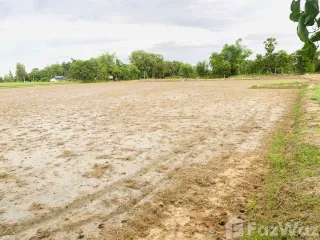 For sale land in Nong Chang, Uthai Thani