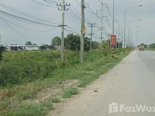 For sale land in Sena, Phra Nakhon Si Ayutthaya