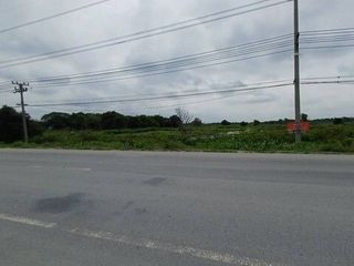 For sale land in Sena, Phra Nakhon Si Ayutthaya