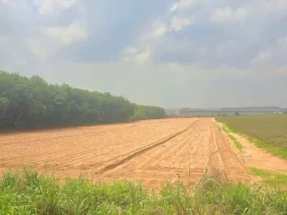 For sale land in Pluak Daeng, Rayong