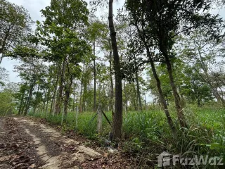 For sale land in Mae Rim, Chiang Mai