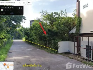For sale land in San Sai, Chiang Mai