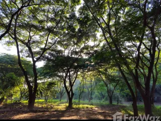 For sale 4 bed house in Rong Kwang, Phrae