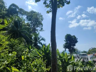 ขาย ที่ดิน ใน เมืองกระบี่, กระบี่
