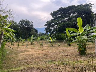 For sale land in Mae Rim, Chiang Mai