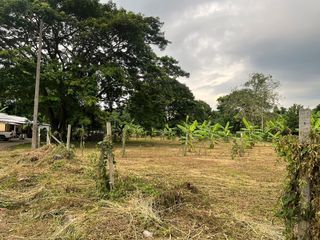 For sale land in Mae Rim, Chiang Mai