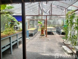 For sale 3 bed house in Ko Samui, Surat Thani