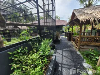 For sale 6 bed hotel in Ko Samui, Surat Thani