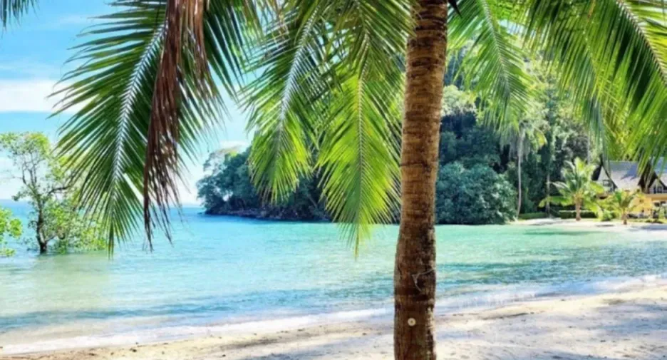 For rent 4 Beds villa in Ko Chang, Trat