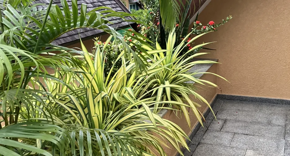 For rent 4 Beds villa in Ko Chang, Trat