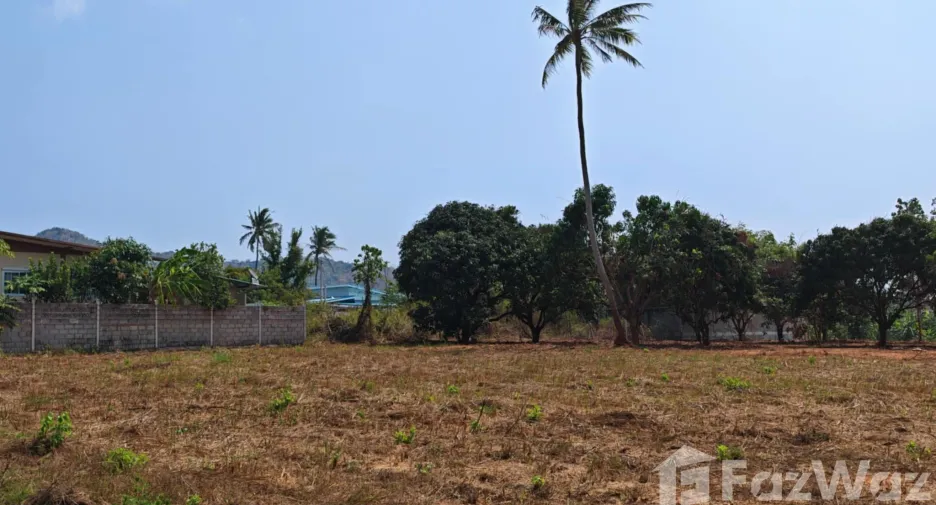 ขาย ที่ดิน ใน ปราณบุรี, ประจวบคีรีขันธ์