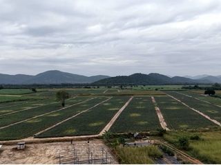 For sale land in Hua Hin, Prachuap Khiri Khan