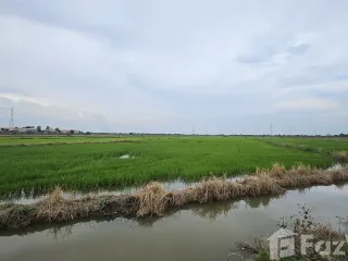 For sale land in Phra Nakhon Si Ayutthaya, Phra Nakhon Si Ayutthaya