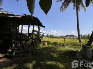 For sale land in Doi Saket, Chiang Mai