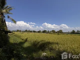 For sale land in Doi Saket, Chiang Mai