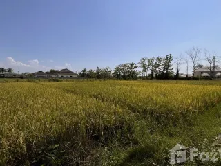 For sale land in Doi Saket, Chiang Mai
