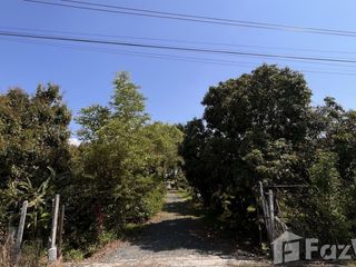 For sale land in Doi Saket, Chiang Mai