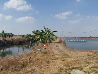 For sale land in Nakhon Chai Si, Nakhon Pathom