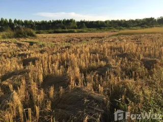 For sale land in Ko Kha, Lampang