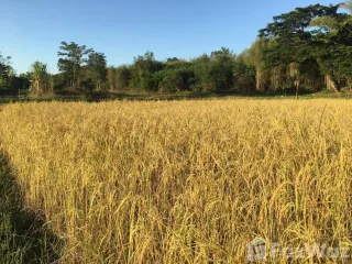 For sale land in Ko Kha, Lampang