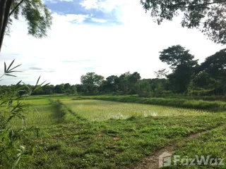 For sale land in Ko Kha, Lampang