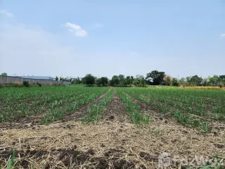 For sale land in Nong Bun Mak, Nakhon Ratchasima