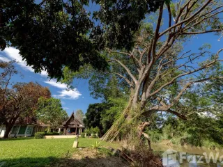 For sale 4 bed villa in Mae Rim, Chiang Mai
