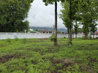 For sale land in Mae Rim, Chiang Mai