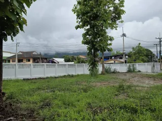 For sale land in Mae Rim, Chiang Mai