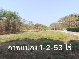 For sale land in Mae Rim, Chiang Mai