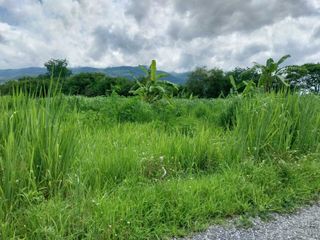 For sale land in Mae Rim, Chiang Mai