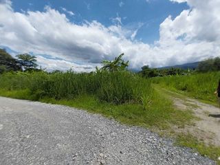 For sale land in Mae Rim, Chiang Mai