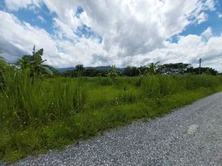 For sale land in Mae Rim, Chiang Mai