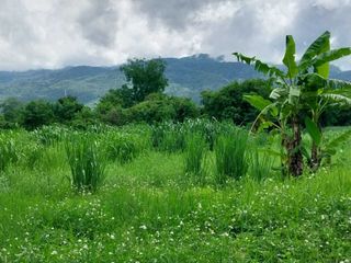 For sale land in Mae Rim, Chiang Mai