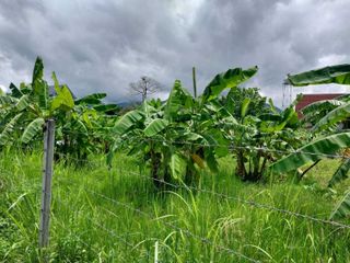 For sale land in Mae Rim, Chiang Mai